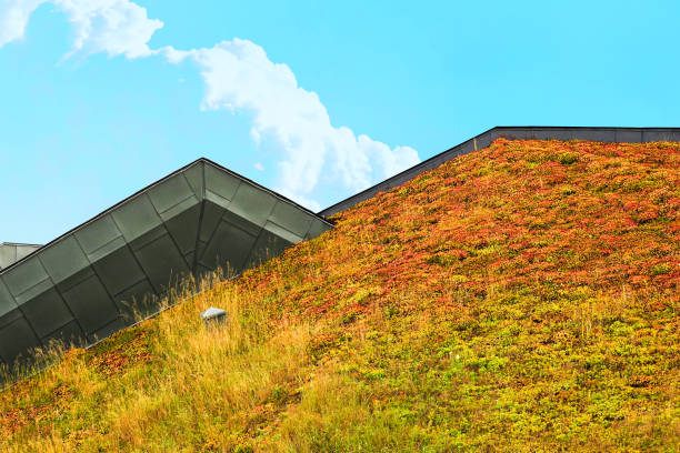 DIFFERENT TYPES OF GREEN ROOFS
