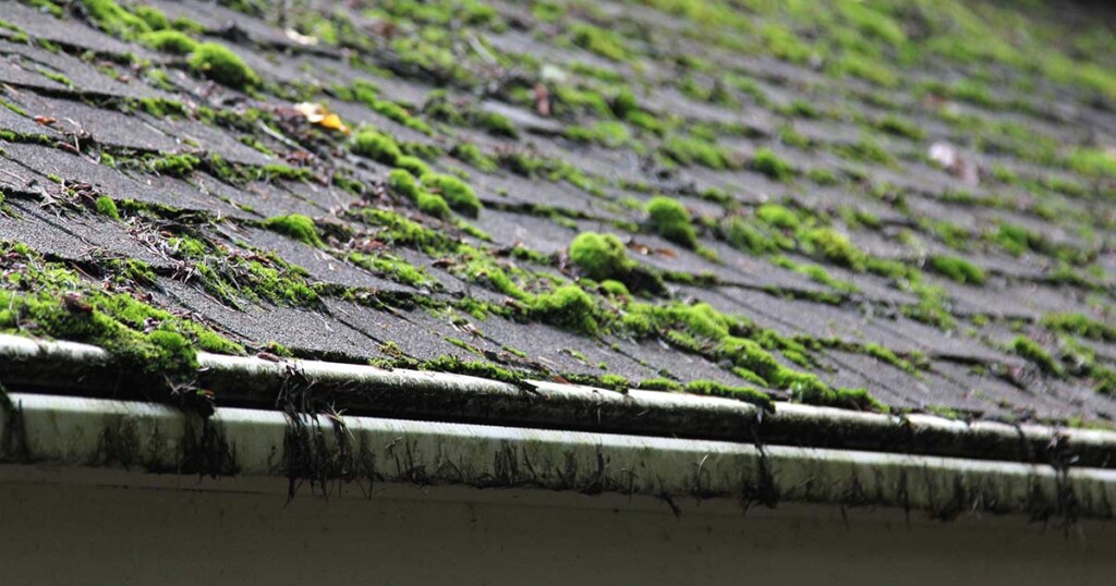 7 Key Signs It’s Time to Remodel Your Roof