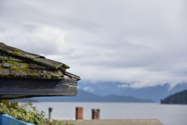 Moss-covered asphalt shingle roof on a residential home in Vancouver Island, British Columbia, surrounded by cedar trees under an overcast, rainy sky.