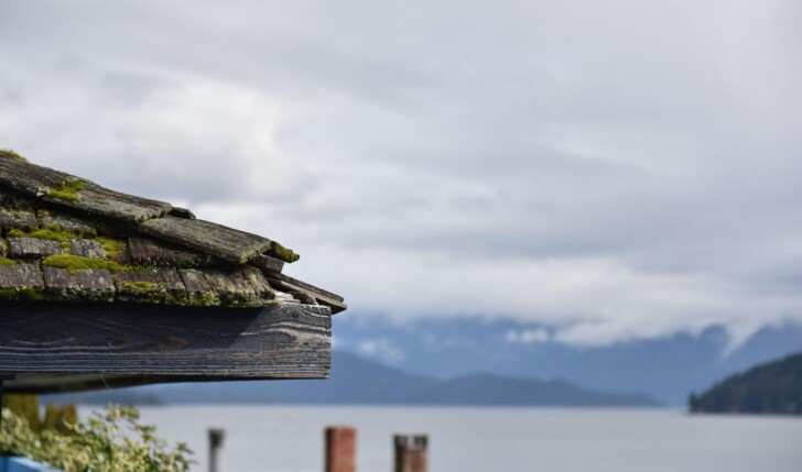 Moss-covered asphalt shingle roof on a residential home in Vancouver Island, British Columbia, surrounded by cedar trees under an overcast, rainy sky.