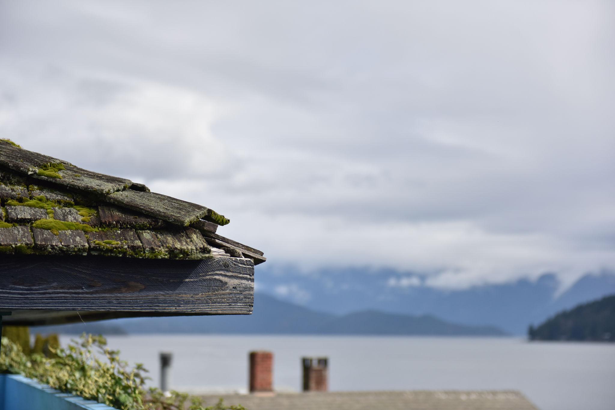 Spring Roofing Problems to Watch for in Central Vancouver Island Homes