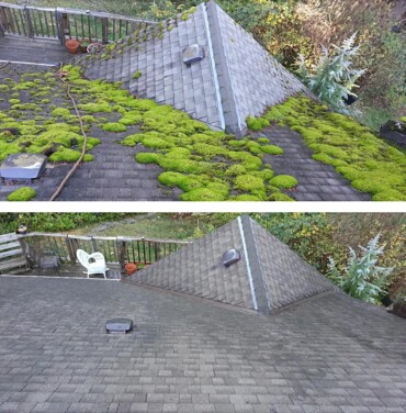 Moss-covered asphalt shingle roof on a residential home in Nanaimo, Vancouver Island, British Columbia, under an overcast sky with cedar trees in the background.