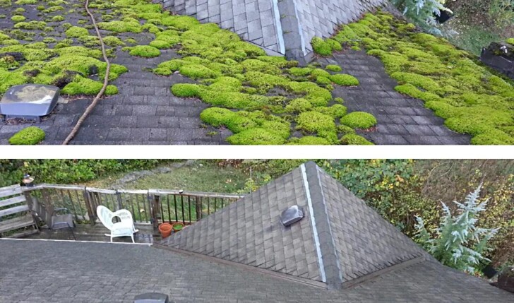 Moss-covered asphalt shingle roof on a residential home in Nanaimo, Vancouver Island, British Columbia, under an overcast sky with cedar trees in the background.