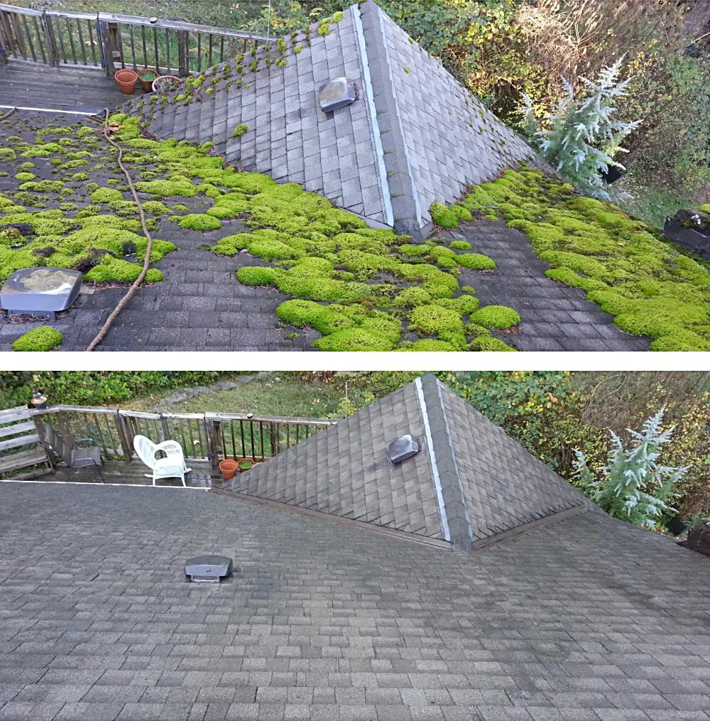 Moss-covered asphalt shingle roof on a residential home in Nanaimo, Vancouver Island, British Columbia, under an overcast sky with cedar trees in the background.